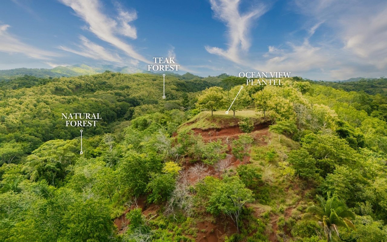 Ocean View Ridge Farm | 135-Acre Estate Near Playa Hermosa, Jacó