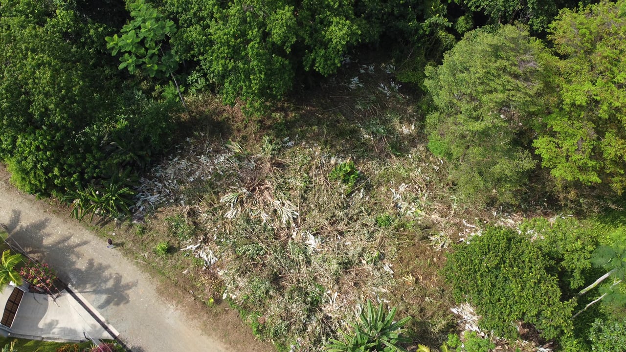 Ojochal - 1 Acre Ready To Build Jungle Lot, Ocean Breezes in Wildlife Corridore