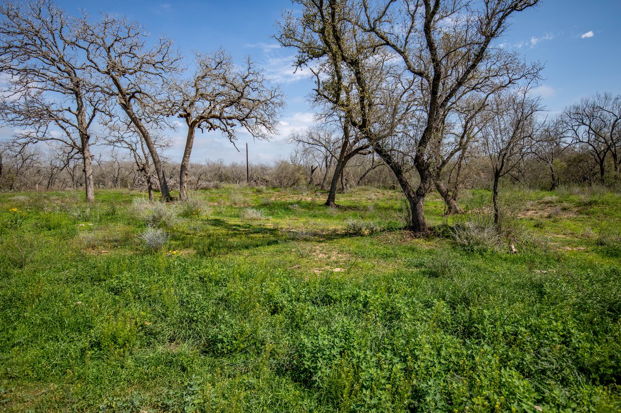 Dry Hollow Creek Ranch | 21.96± Acres | Bexar County