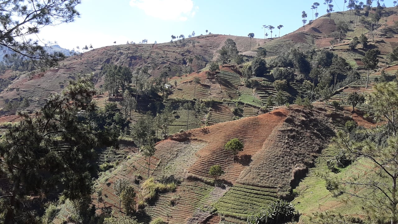 13.48 Acres (approx) of Prime Mountain Land in Morne Obleon (Furcy), Haiti