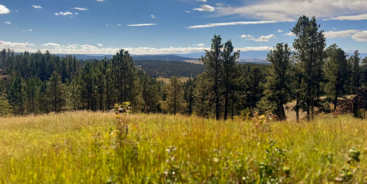 Bull Mountain Overlook