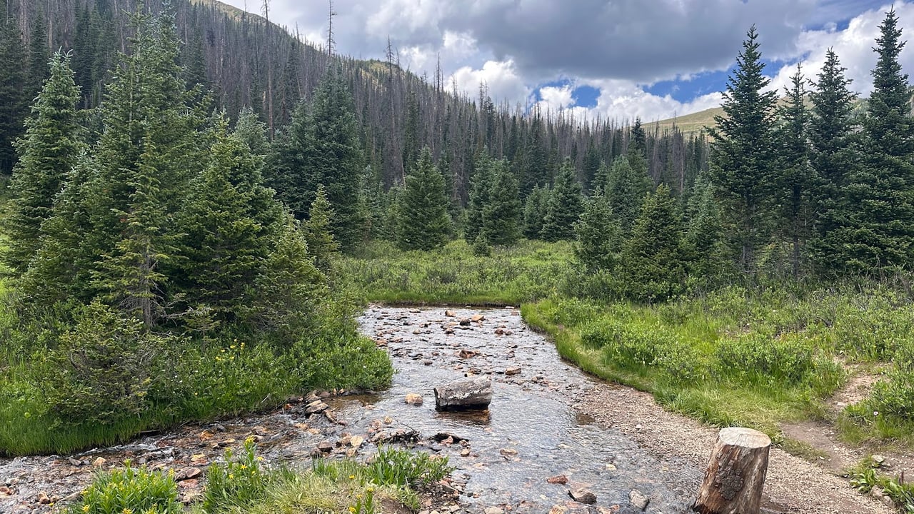 Driving Into the Wild: A Sensory Journey Along Old Fall River Road