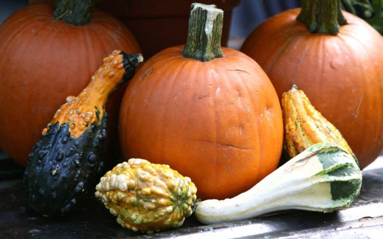A Lil’ Hint of Fall & Preview