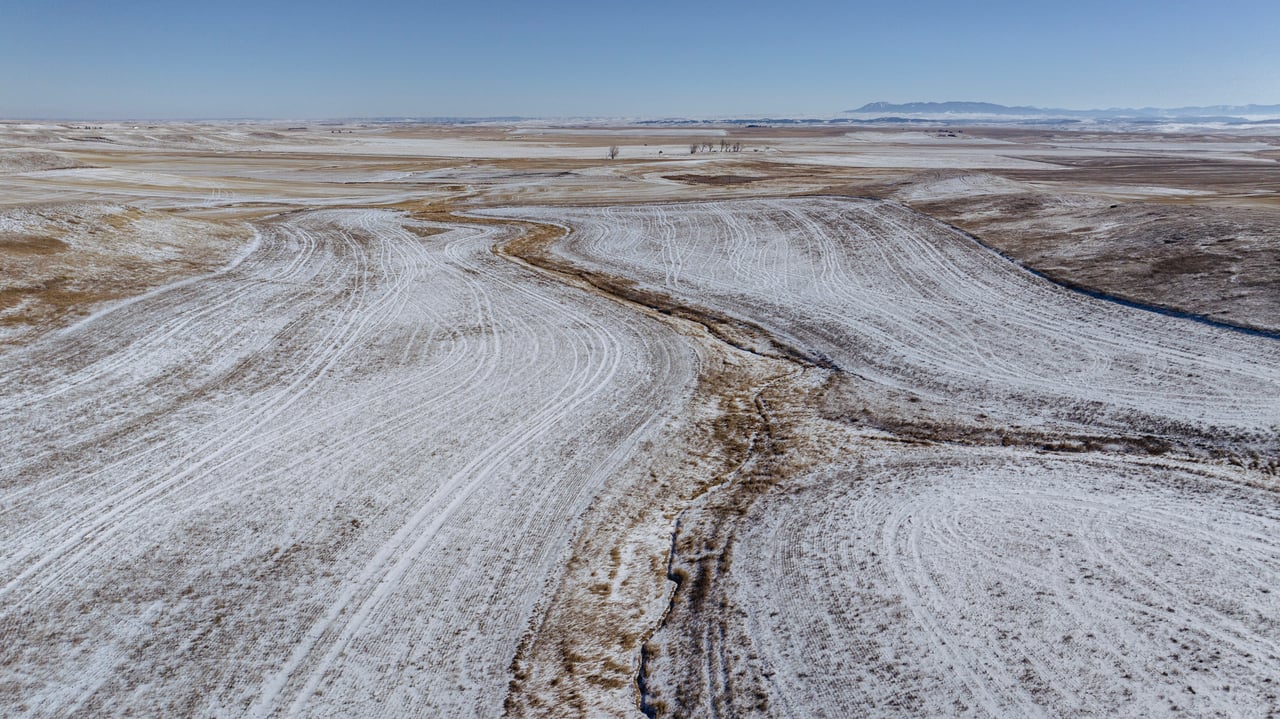 Upland Edge