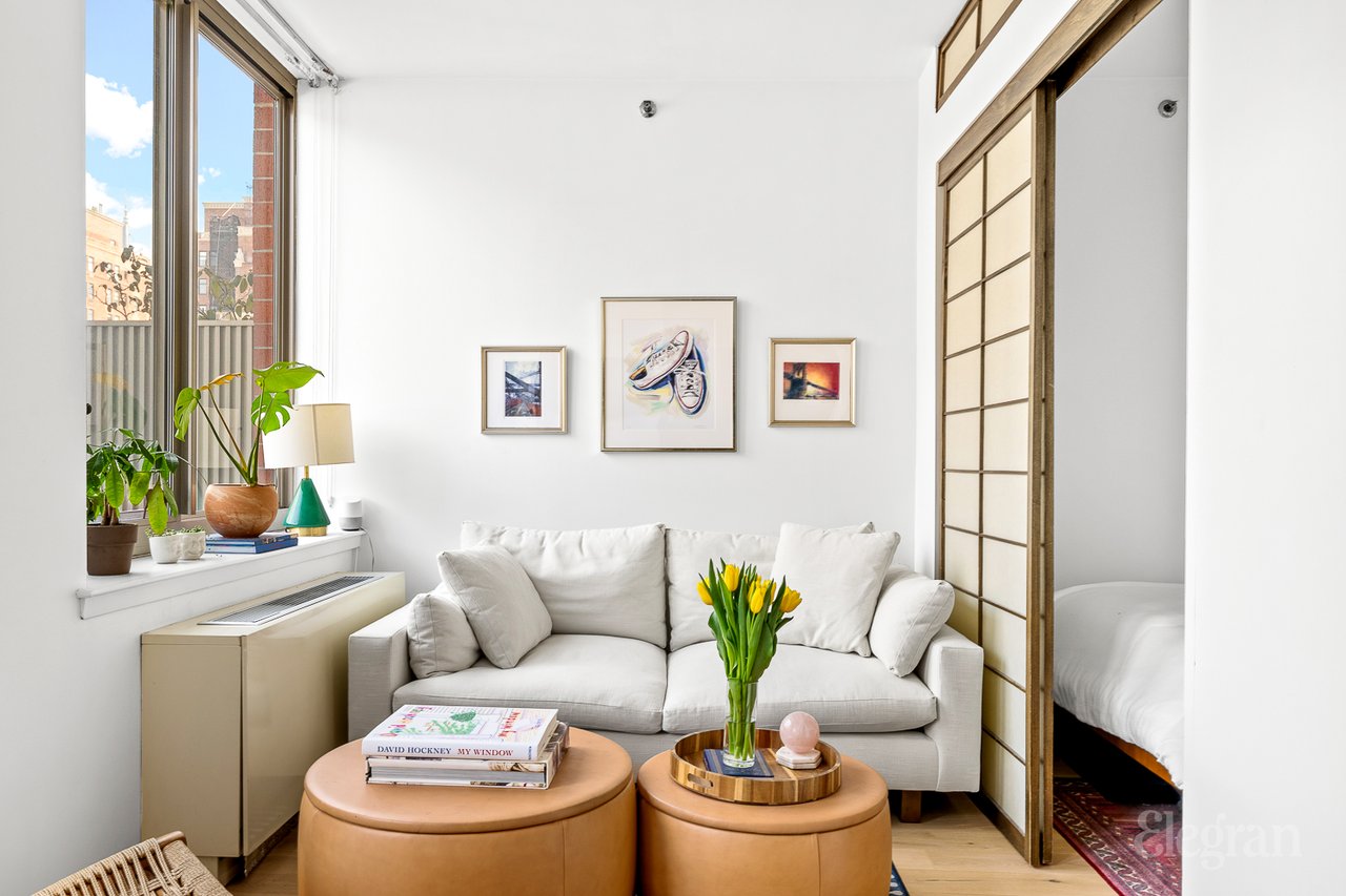520 West 23rd Street, 11D