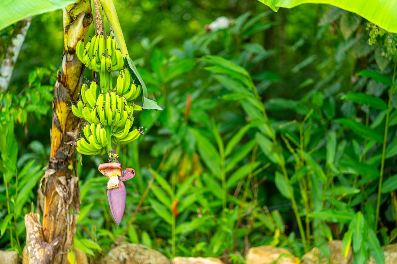 Conveniently Located Homestead in Gated Neighborhood w/ Paved Roads