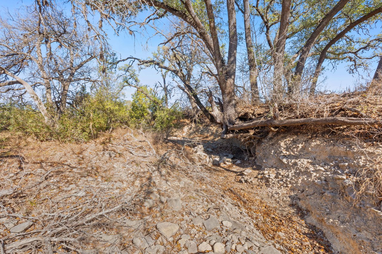 100 Dario Dr. Dripping Springs  Tx 78620