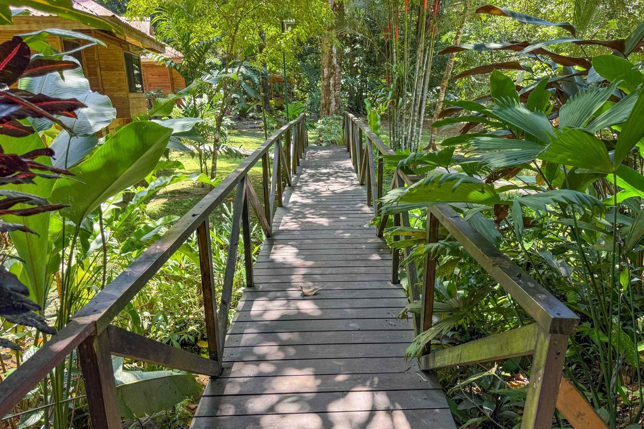  Gorgeous Jungle Hotel with 11 Beds including Owner/Manager Unit, Sparkling Pool & River Setting in Ojochal Costa Rica