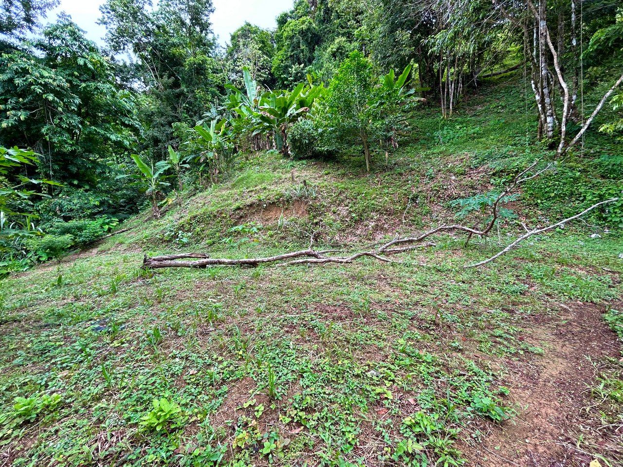 Ocean View Property in Playa Hermosa - Over 1 Acre