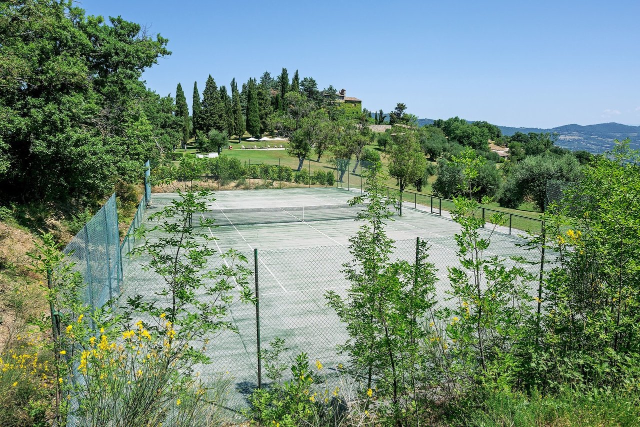 Wide Estate Composed of Houses and Amenities