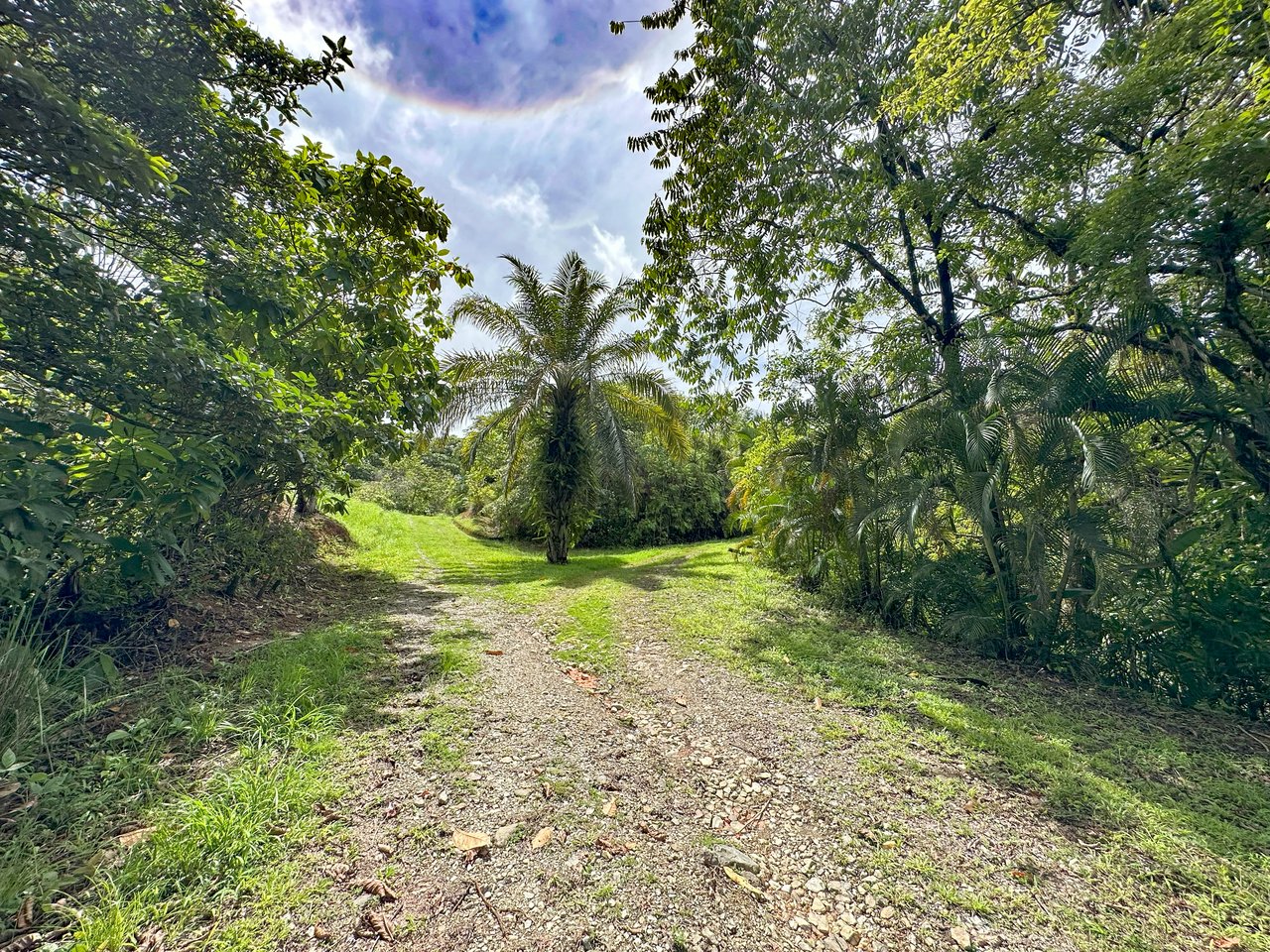 Ojochal Property for Sale – Cabins, Restaurant & 3-Bed Home