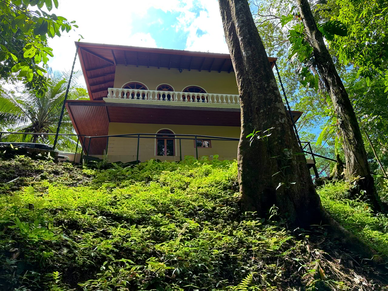 FIRE SALE! Jungle, Rivers, a Waterfall and Panoramic Ocean View