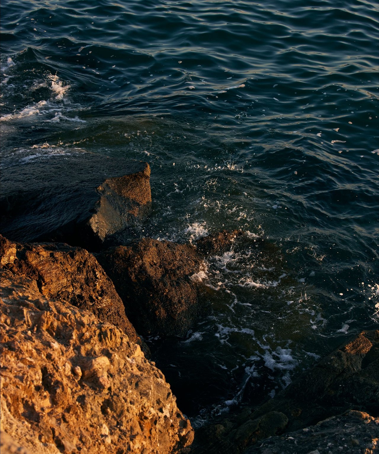 Rippling water meets a rugged shoreline, with golden sunlight on the rocks.