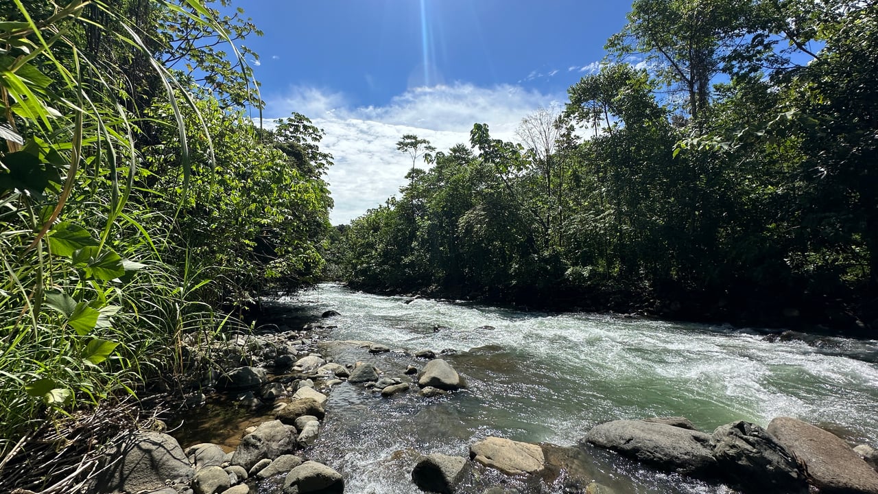 12.5 Acre property In-town for expansion, Enjoyment or Development