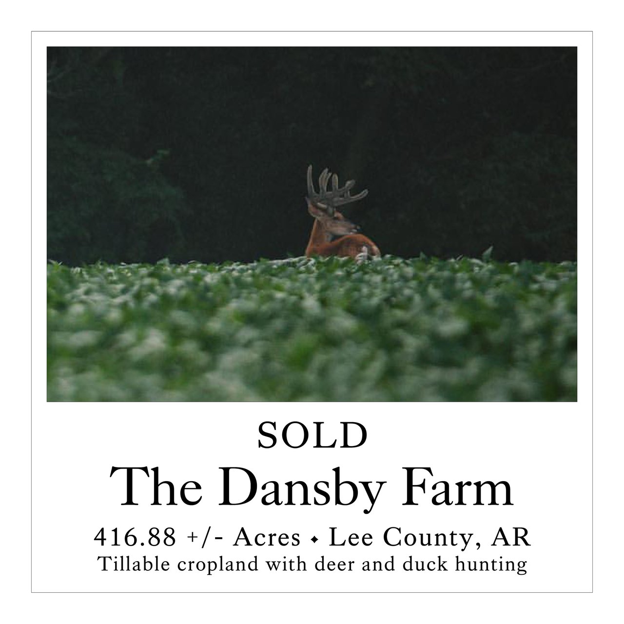 The Dansby Farm