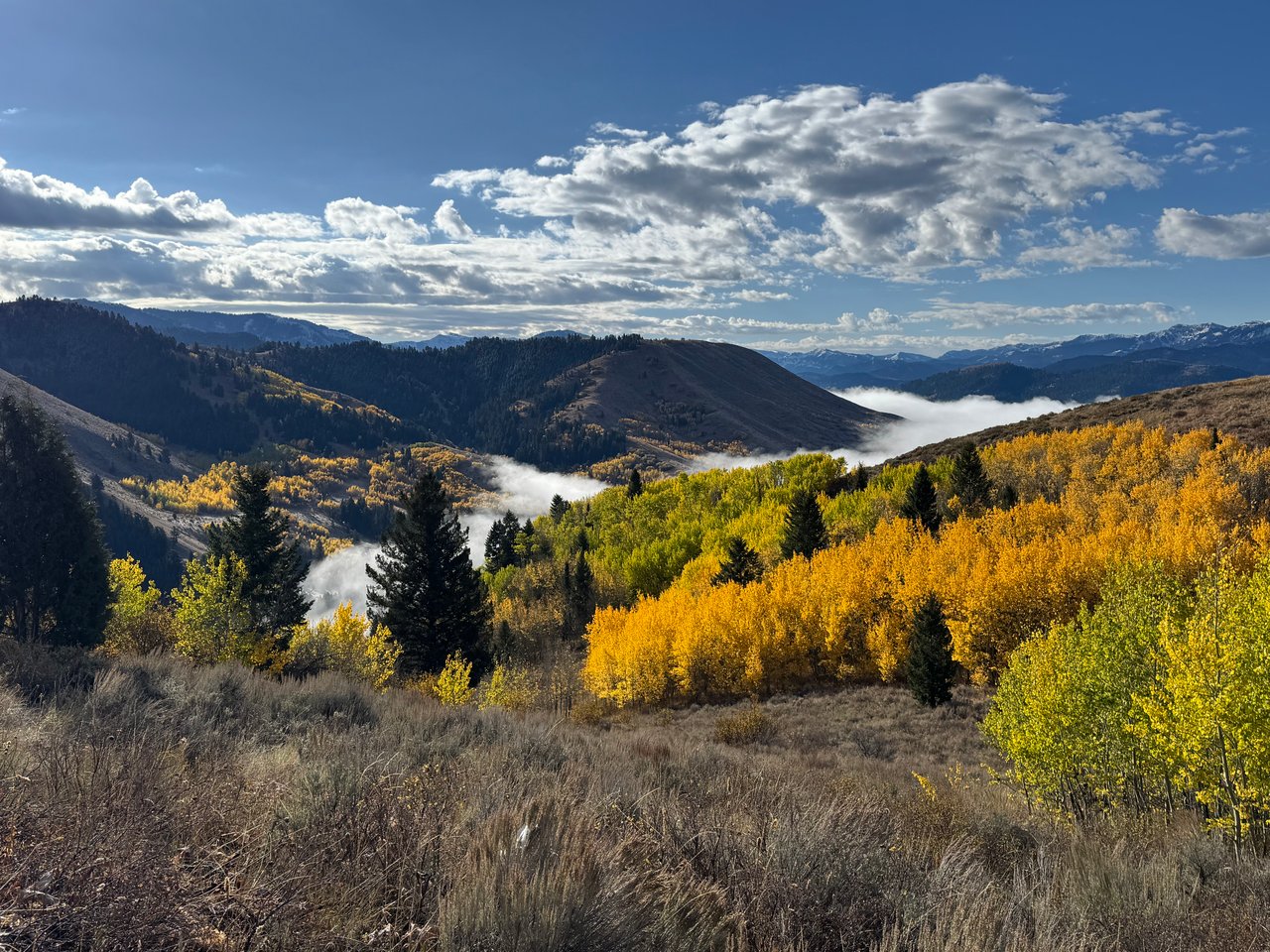 Best Fall Hikes in Jackson Hole