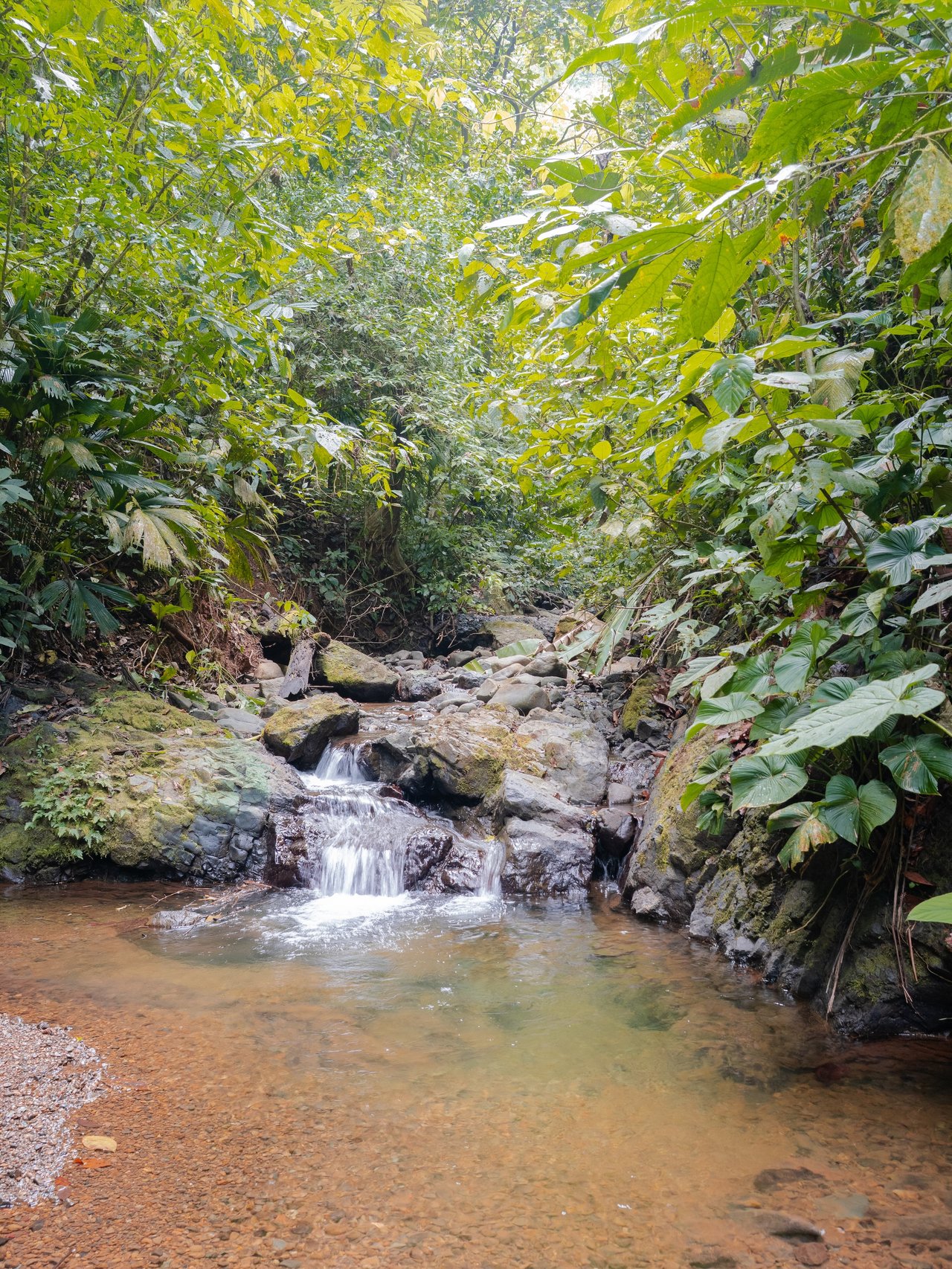 776 Hectares Prime Land in Osa | Ocean Views, Waterfalls, Rivers & Sierpe River Access