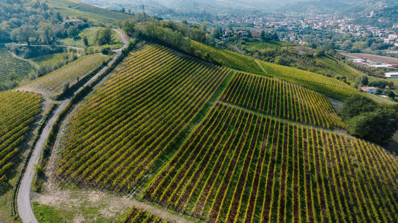 Paso Robles Wine Country- Where Lifestyle Meets Luxury In A Shifting Wine Industry