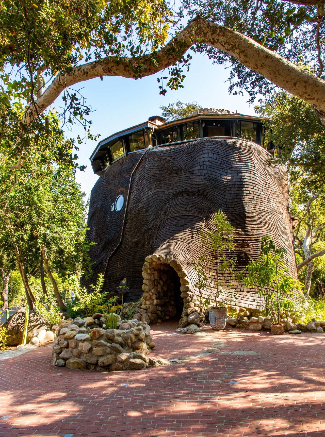 The Whale House