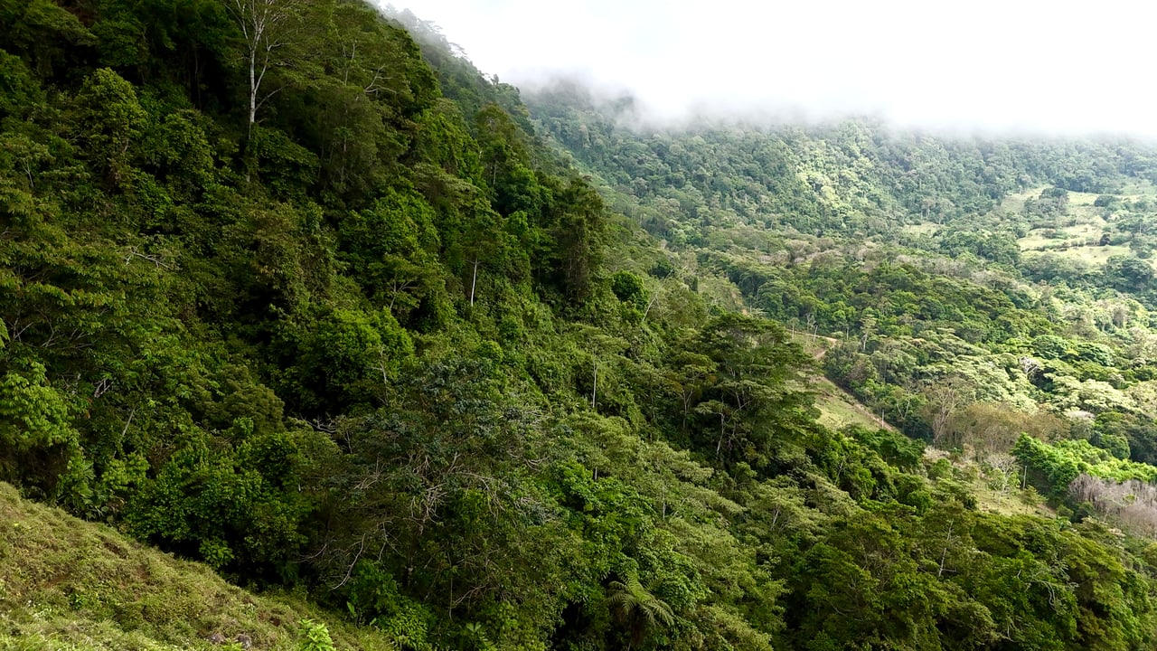 Gorgeous Land in San Luis Morete - Uvita - Over 17 Acres