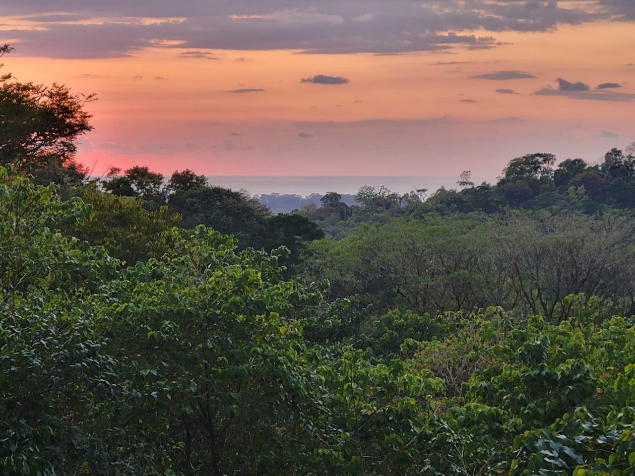 Jungle Privacy with Oceanview Plantel in Uvita – 1.6 Acres with New Home & Pool