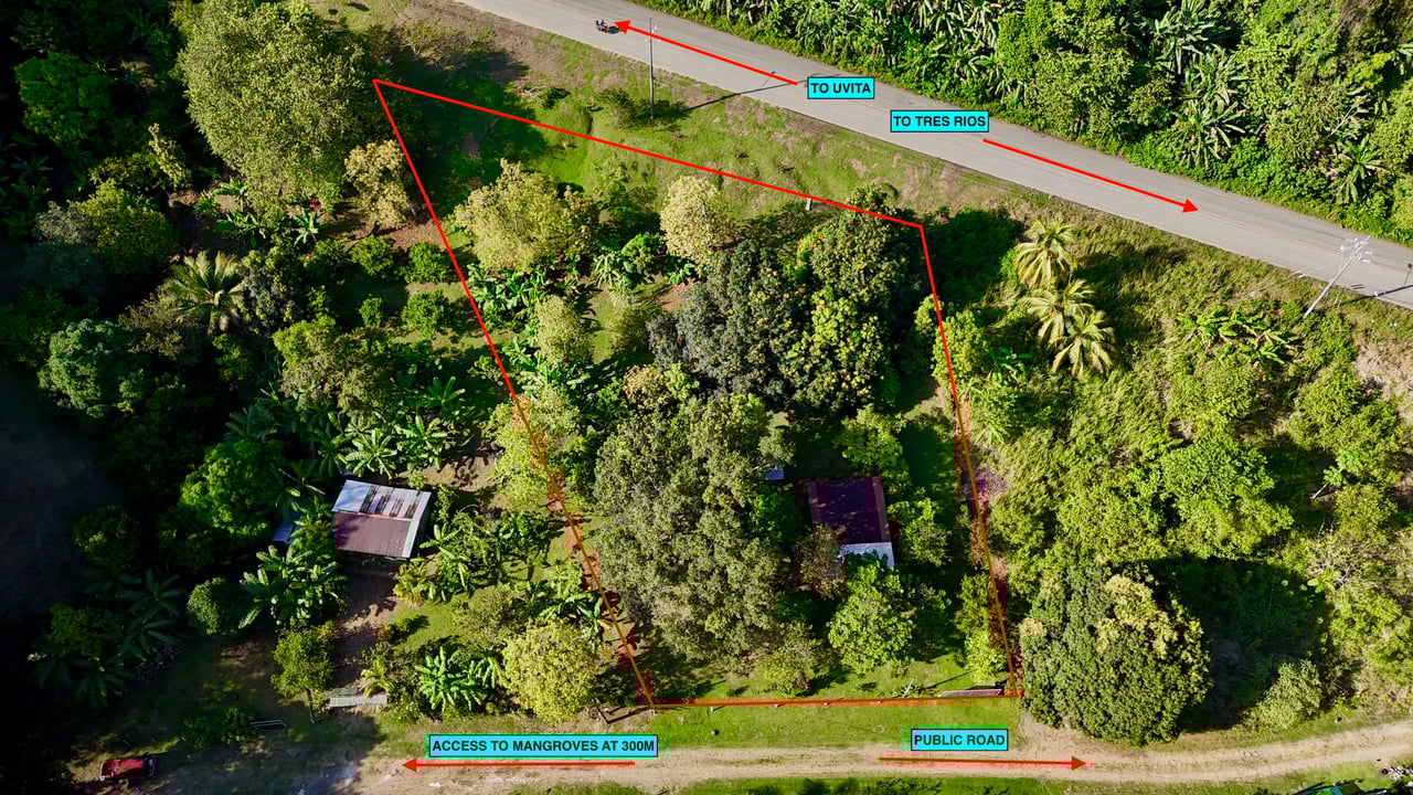 Commercial & Residential Property in Punta Mala with Producing Fruit Trees