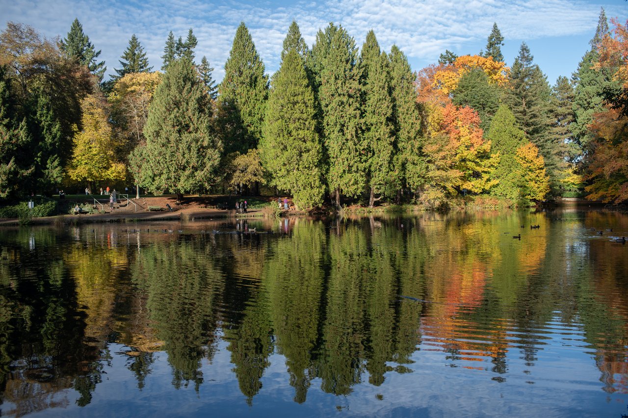 Laurelhurst Park pond reflecting evergreen and autumn-colored trees on a sunny day.