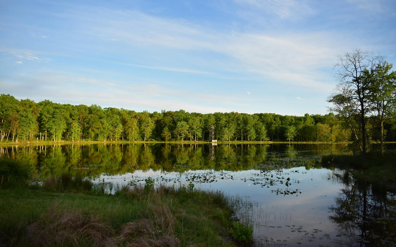 Arcadia Shores
