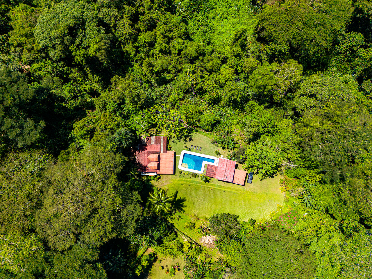 Exquisite Costa Rican Jungle Estate with Ocean Views
