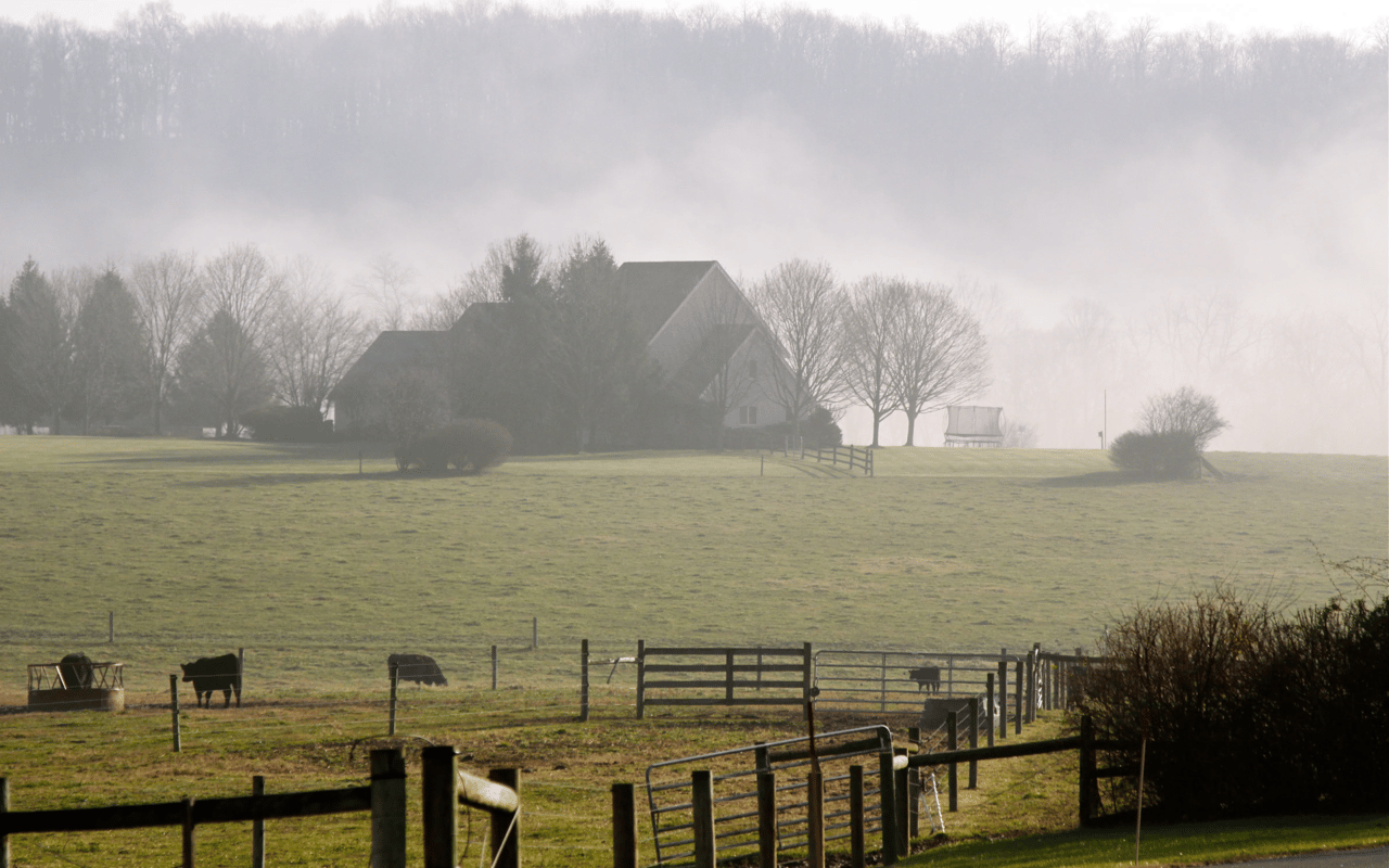 Life in the Country!