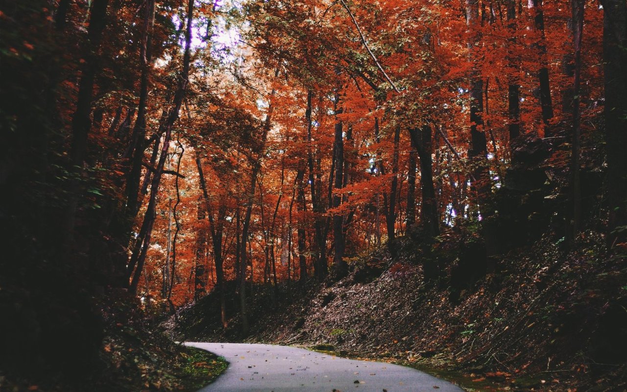 Must-Do Fall Day Trips