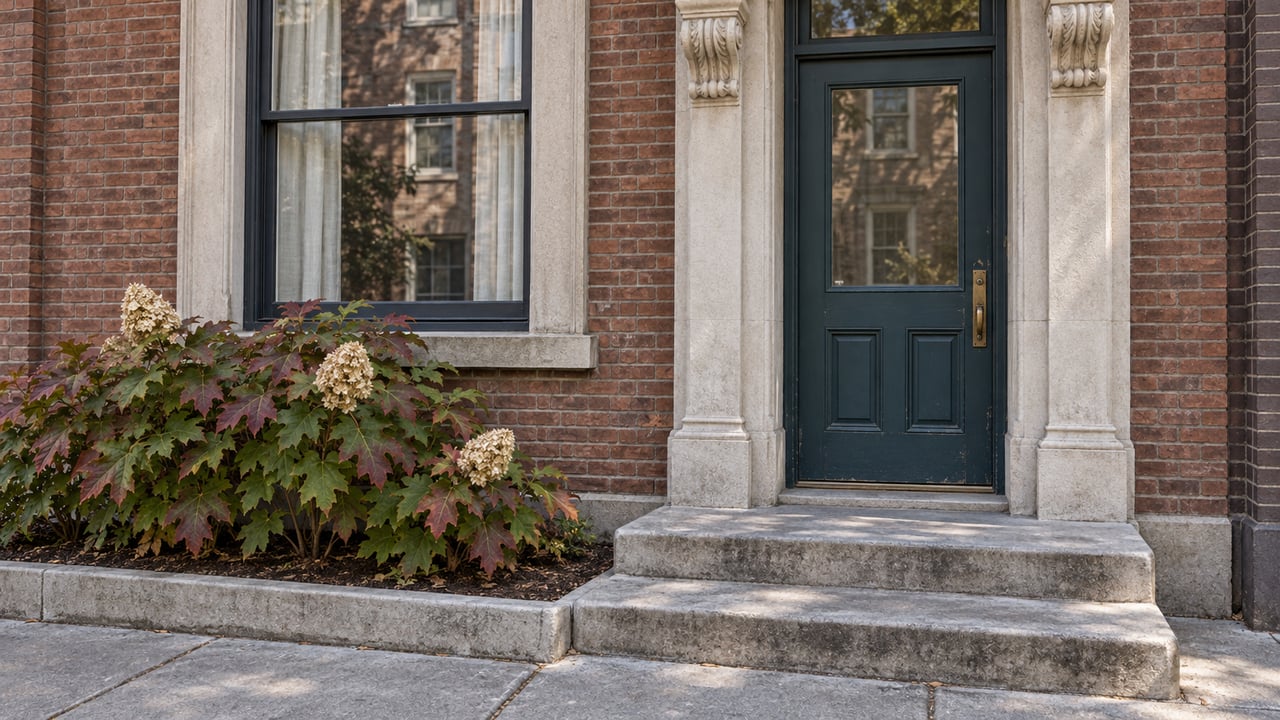 Teal townhouse door framed by weathered limestone and warm brick, with broad stone steps and burgundy-edged oakleaf hydrangea foliage.