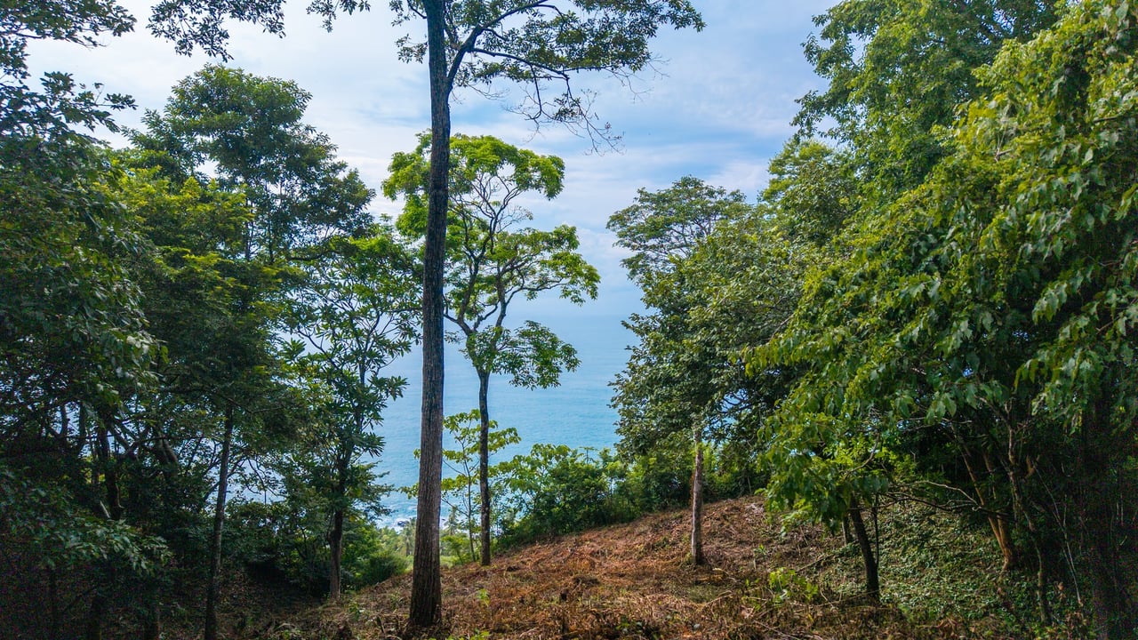 Pacific View Building Lot, Santa Teresa, Puntarenas