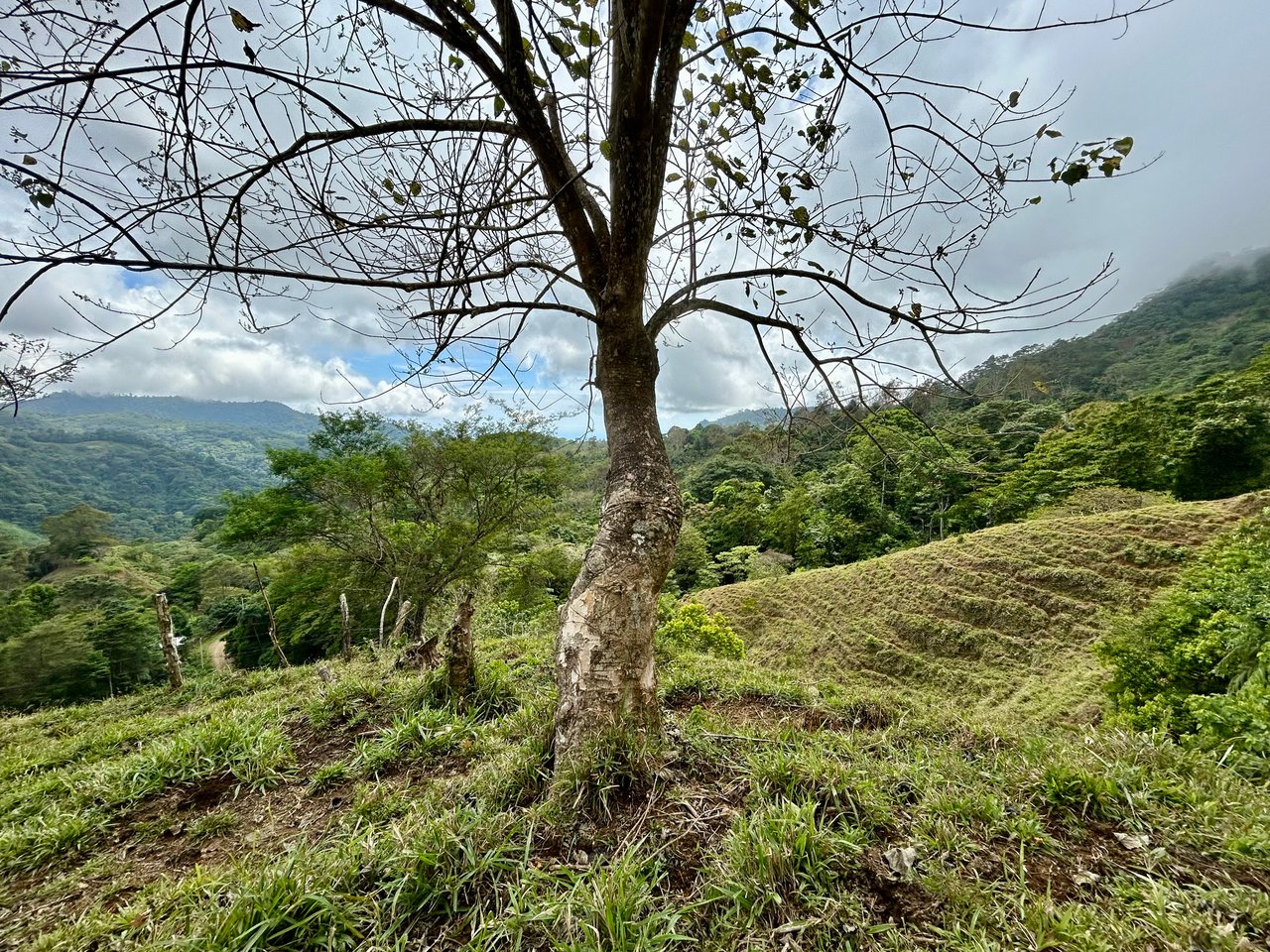 Gorgeous Land in San Luis Morete - Uvita - Over 17 Acres