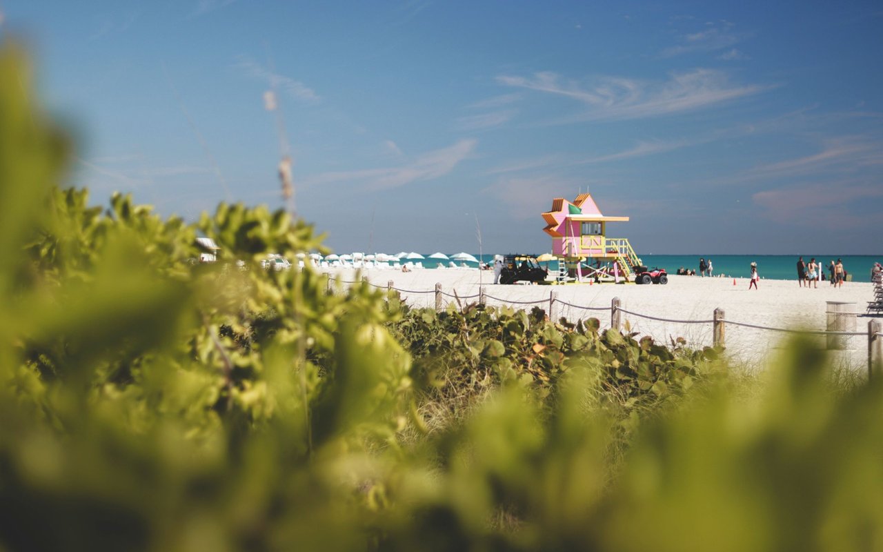 Miami Beach shoreline with a colorful lifeguard tower and turquoise water.