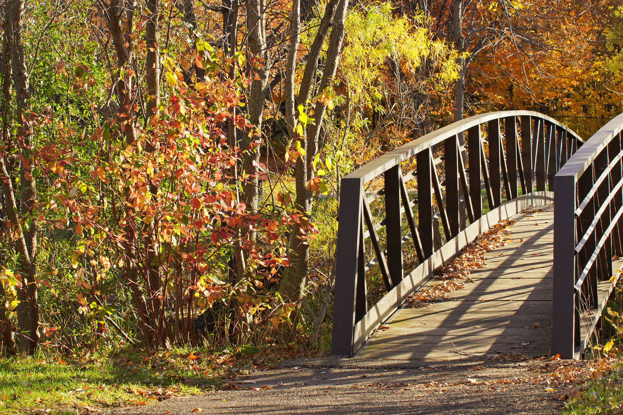Merriam Park