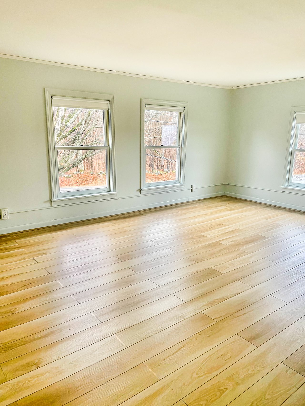 Rental Available October 1st