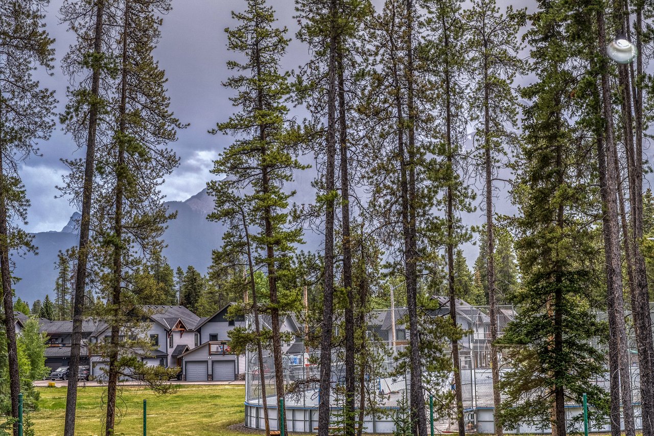 Private Mountain Retreat on Nearly Half an Acre