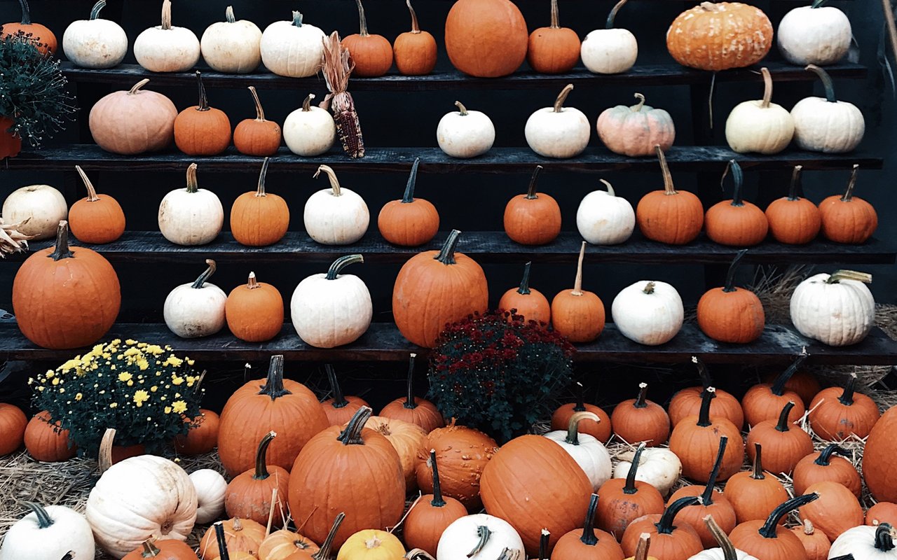 Visit RVA Pumpkin Patches