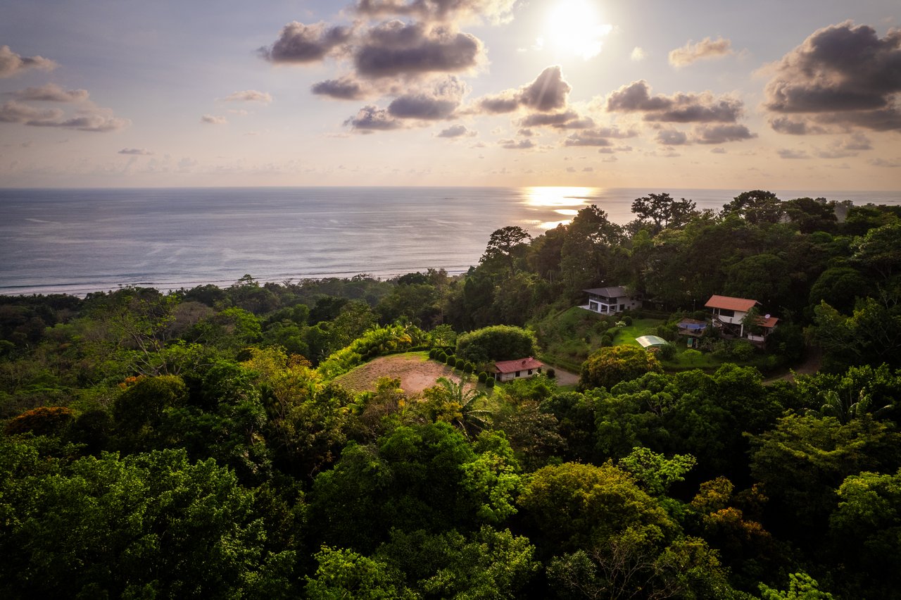 Ultra-Luxury Coastal Estate with Iconic Whale’s Tail Views