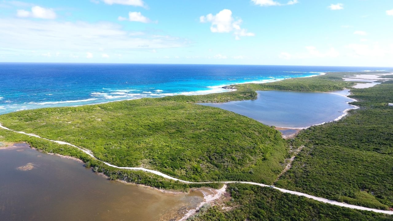 Salt Pond, Long Island