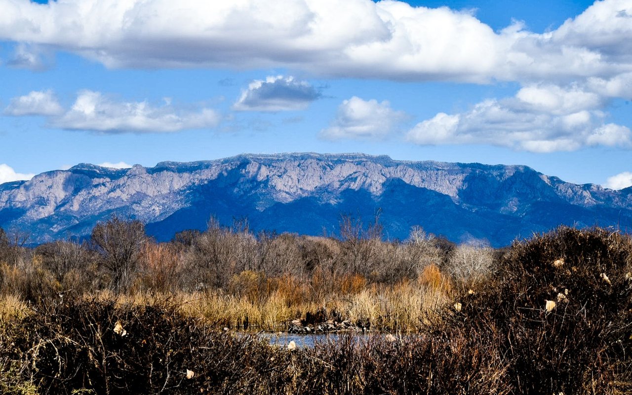 Placitas
