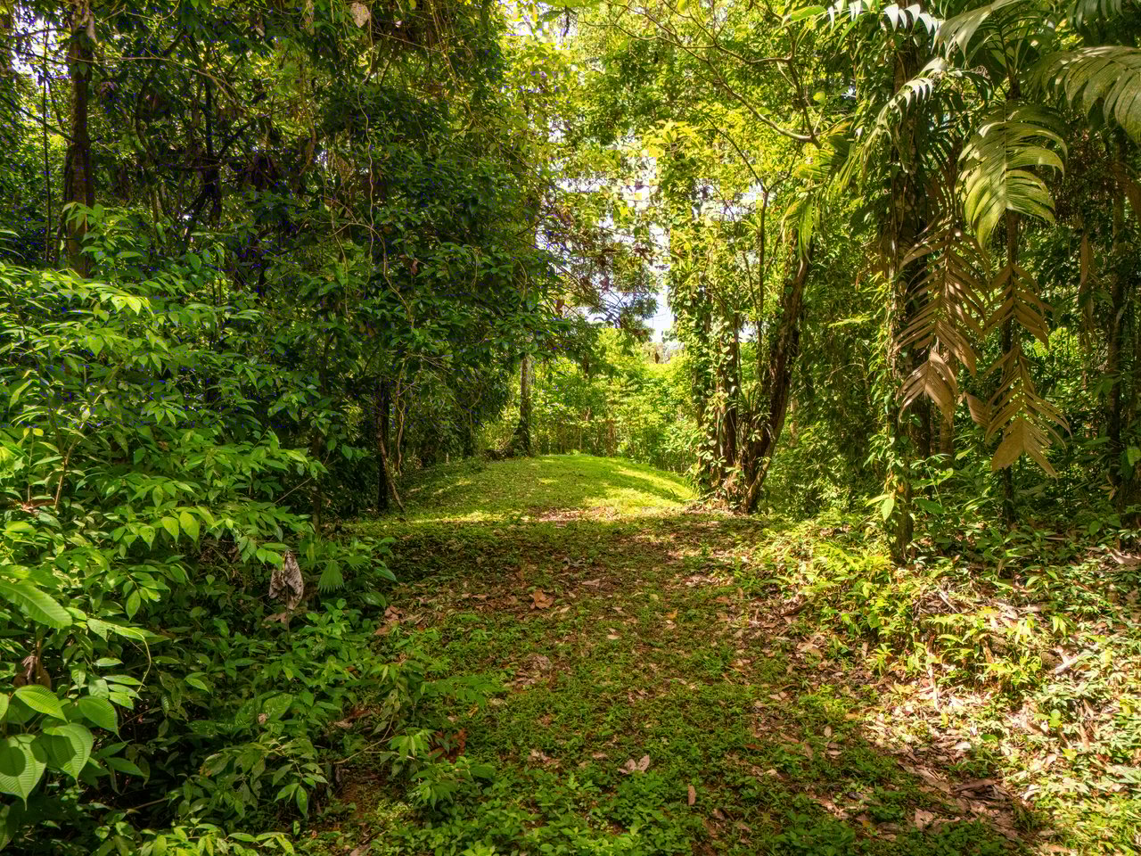 Tropical Paradise in Cascada Sándalo, Tres Ríos Ocean & Mountain Views | Gated Community | Abundant Nature