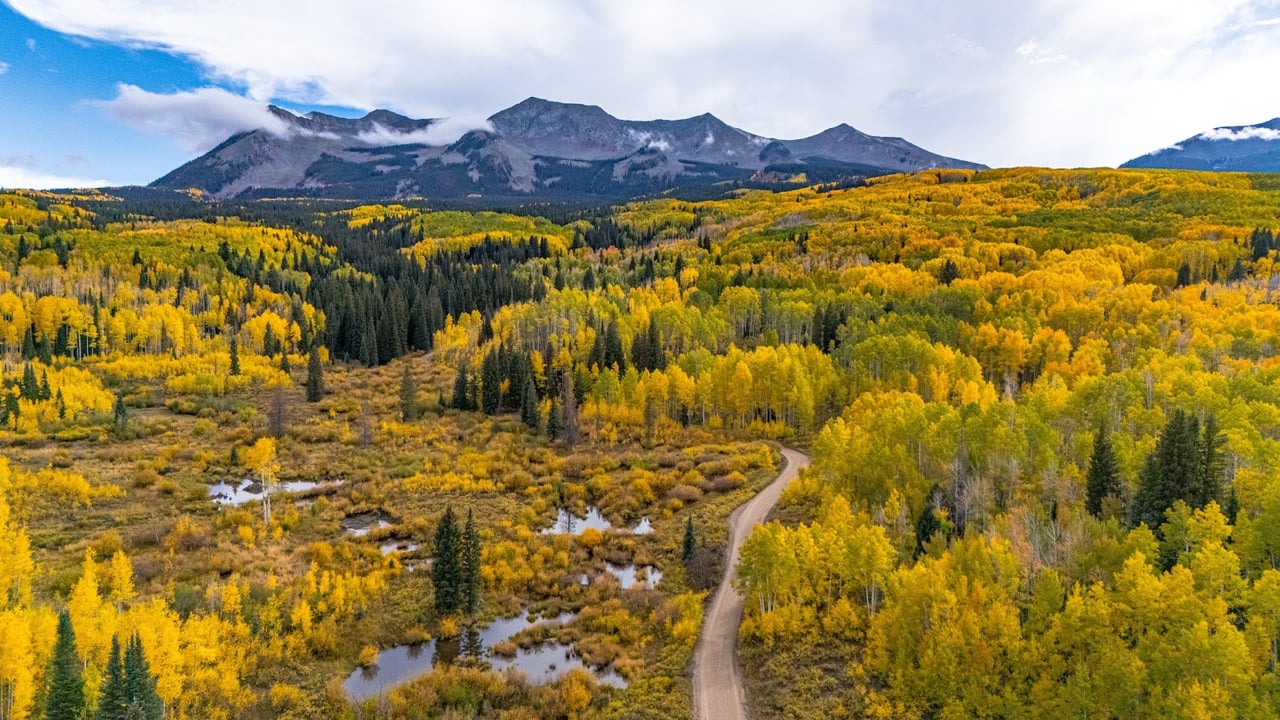 Kebler Pass in the Fall: Colorado’s Golden Wonderland