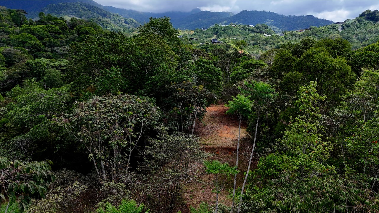 Beautiful mountain view land located in a quiet community in Ojochal. 