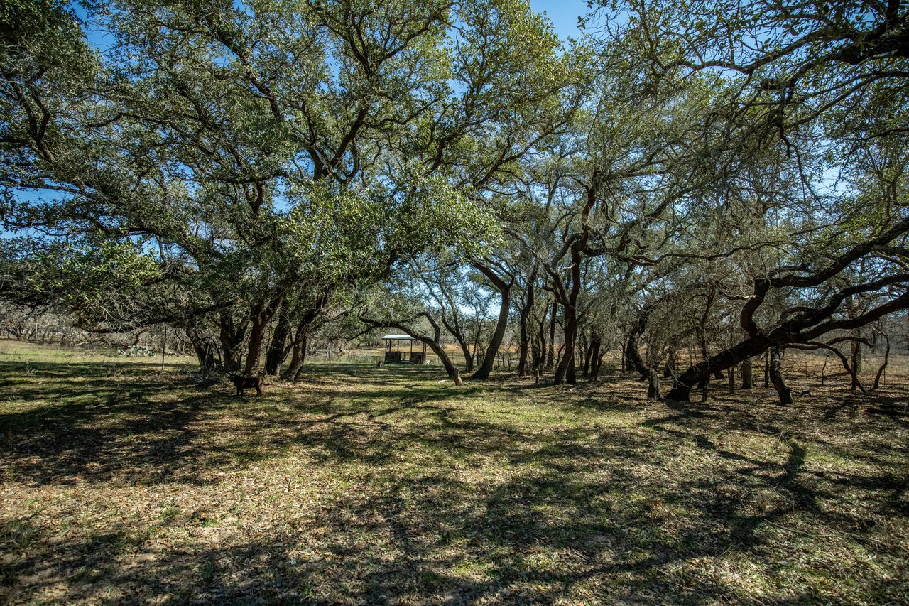 Whispering Pines Floresville Ranch | 298± Acres | Wilson County