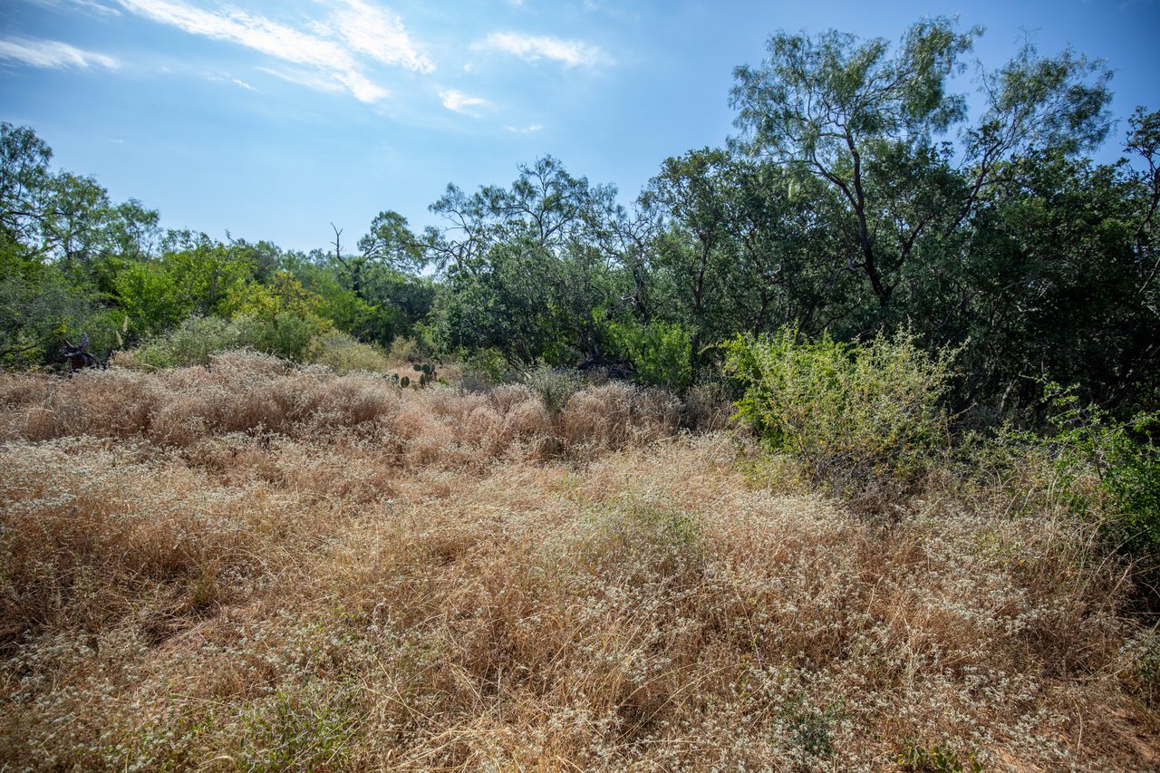 Oaks, Wildlife, & the Quiet of the Countryside | 26.99± Acres | Poteet, TX