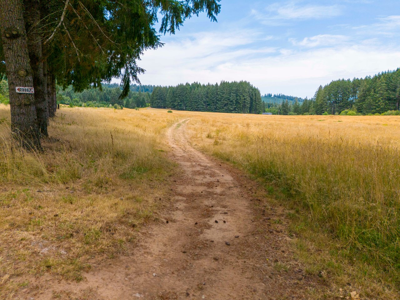 Sheffler Farm & Forest