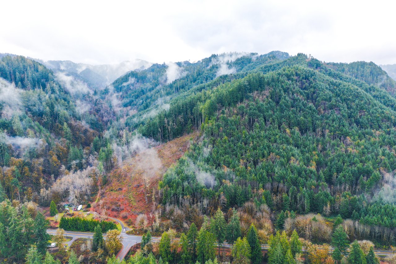 Waite Creek Woodlands