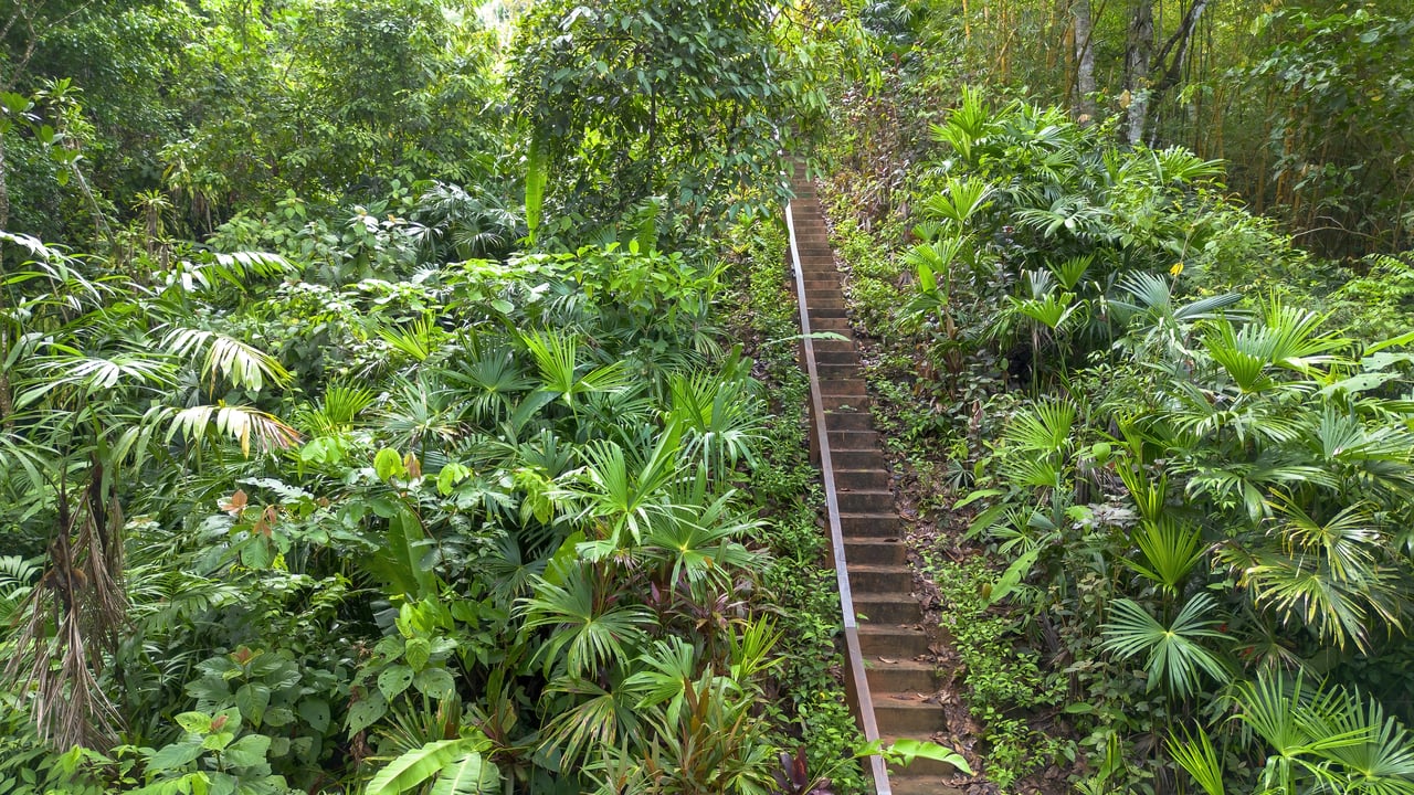 Waterfall Retreat with Casita & Build-Ready Lot in Cascada Azul, Baru